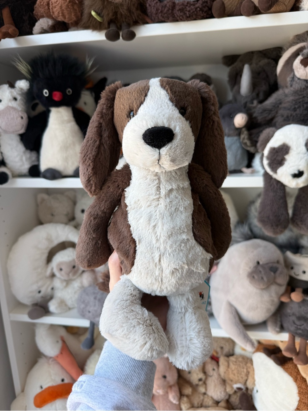 NWT Jellycat Bashful Fudge Puppy